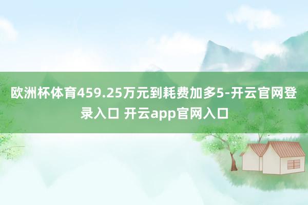 欧洲杯体育459.25万元到耗费加多5-开云官网登录入口 开云app官网入口