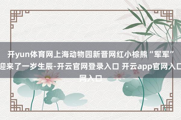 开yun体育网上海动物园新晋网红小棕熊“军军”迎来了一岁生辰-开云官网登录入口 开云app官网入口