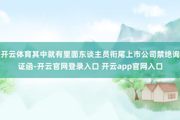 开云体育其中就有里面东谈主员衔尾上市公司禁绝询证函-开云官网登录入口 开云app官网入口