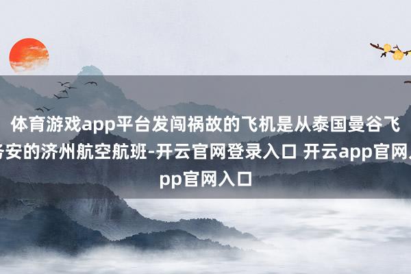 体育游戏app平台发闯祸故的飞机是从泰国曼谷飞往务安的济州航空航班-开云官网登录入口 开云app官网入口