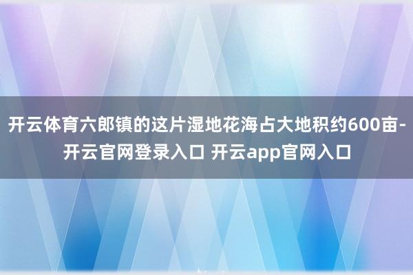 开云体育六郎镇的这片湿地花海占大地积约600亩-开云官网登录入口 开云app官网入口