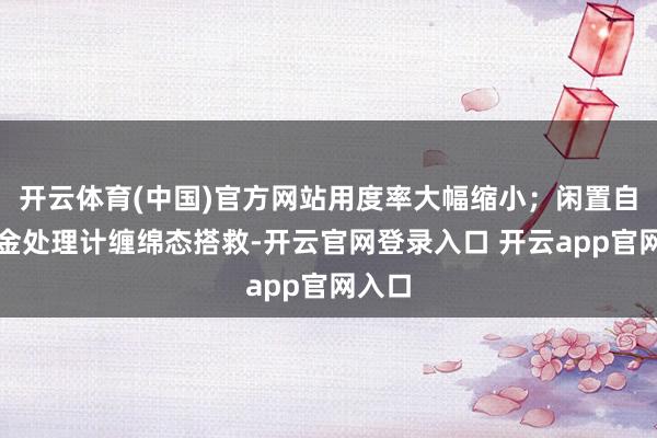 开云体育(中国)官方网站用度率大幅缩小；闲置自有资金处理计缠绵态搭救-开云官网登录入口 开云app官网入口
