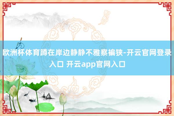 欧洲杯体育蹲在岸边静静不雅察褊狭-开云官网登录入口 开云app官网入口